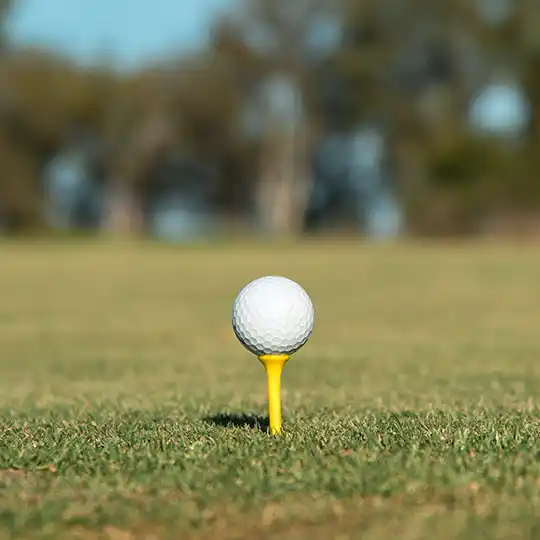 Max Sector 36 Gurgaon